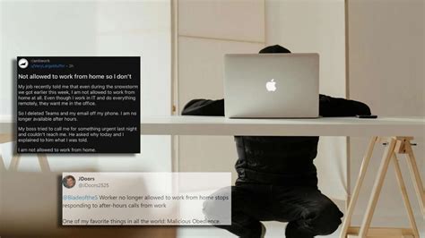 Techie’s Savage Response To Company’s No Work From Home Policy Wins The ...