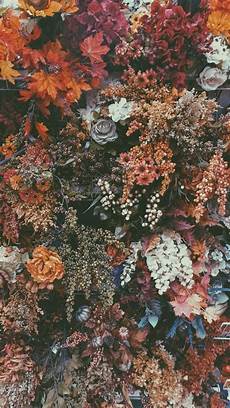 Iphone Vsco Fall Backgrounds by See More Of Lizhouweling S Vsco Grid Lockscreens In Iphone Vsco Fall Backgrounds