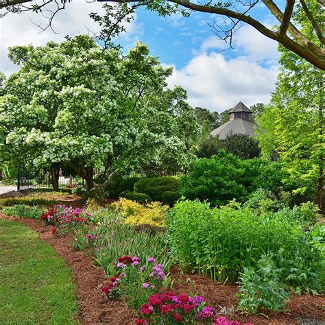 CAPE FEAR BOTANICAL GARDEN (Fayetteville): Ce qu'il faut savoir pour ...