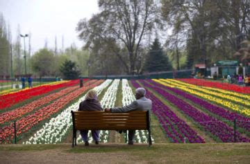 Memorable 4 Days Srinagar to gulmarg Tour Package | srinagar, gulmarg ...