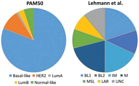 Estrogen Actions in Triple-Negative Breast Cancer
