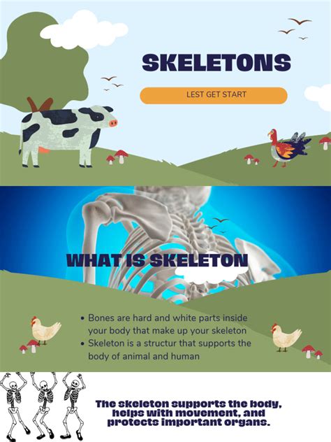 Image result for HyperWorks Skeleton PDF