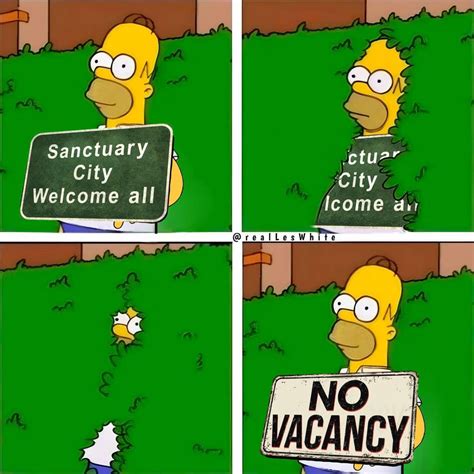 grandma doesn't understand what sanctuary city means : r/forwardsfromgrandma