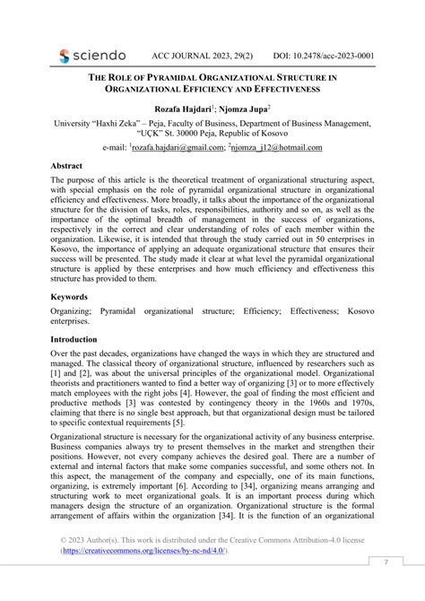 Organization Pyramid Structure 的图像结果