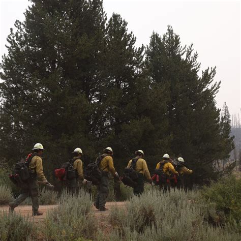 Image result for Bootleg Fire Behavior