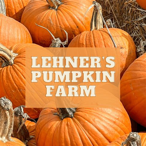 Lehners Pumpkin Farm - Visit Ohio Today