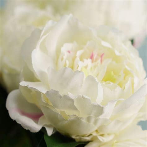 Shop Ivory Artificial Peony Flower Stem - Single - at Best Price Online ...