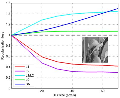Spectral Norm Regularization for Blind Image Deblurring