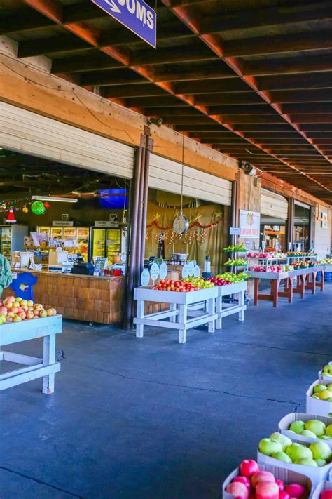 Boa Vista Orchards in Apple Hill - An El Dorado County Gem - California ...