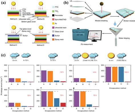 Image result for Video Encapsulation Methods Co-Crystallization