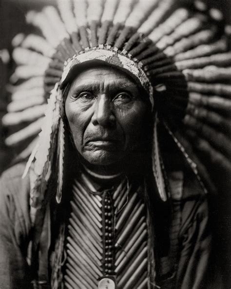 Native American Photo, Three Horses Portrait, Photograph of American ...