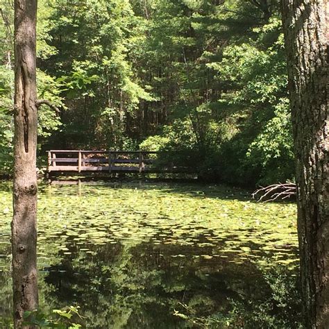 HOPEVILLE POND STATE PARK (2026) All You Need to Know BEFORE You Go ...