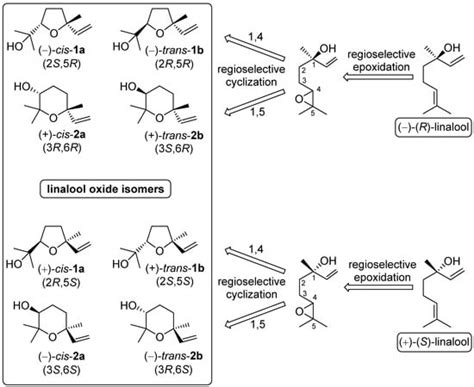 A Practical Laboratory-Scale Synthesis of All Eight Stereoisomeric ...