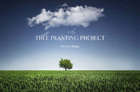 Image result for Tree-Planting Project