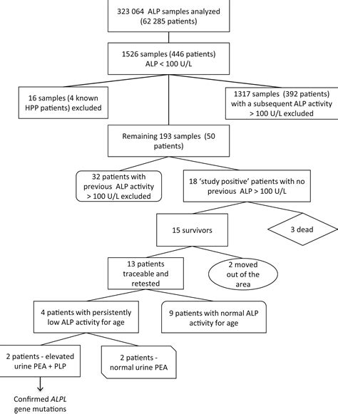 What Causes Alkaline Phosphatase Levels To Be Low at Elmer Pritchard blog