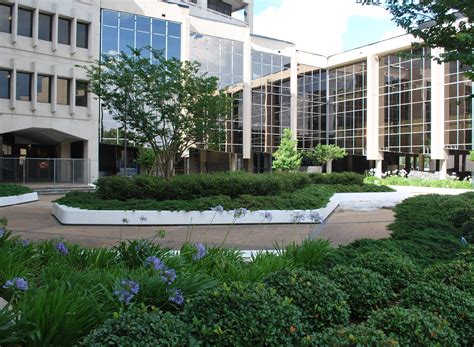 LSU Dental School Statistics