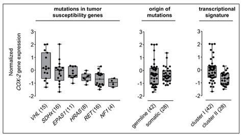 Targeting Cyclooxygenase-2 in Pheochromocytoma and Paraganglioma: Focus ...