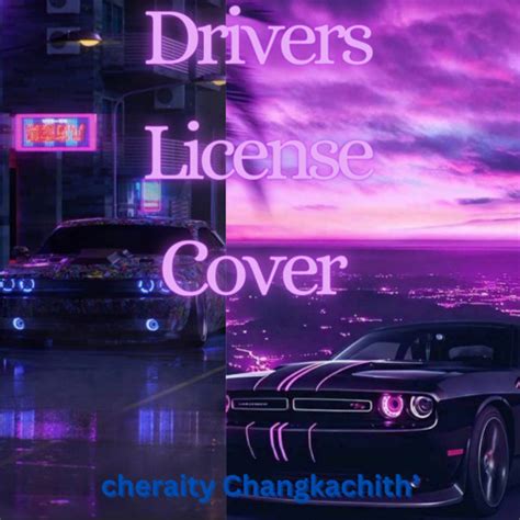 Image result for Drivers License Cover