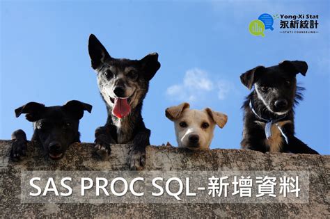 Proc SQL in SAS 的图像结果