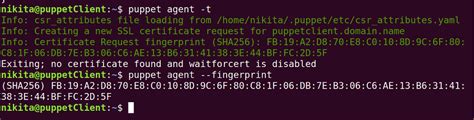 Image result for Debugging Puppet Installation Coursera