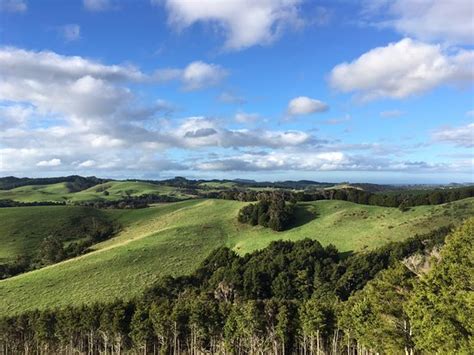 HILLTOP (Paihia, Bay of Islands) - Lodge Reviews & Photos - Tripadvisor