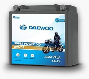 Daewoo Battery Two Wheeler Battery (DW 2.5L) : Amazon.in: Car & Motorbike