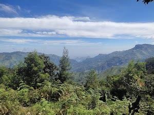 Top 20 things to do in Palani (Updated Apr 2025)