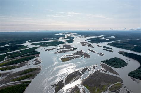 Image result for Harbor Freight Swamp Runner Mud Boat