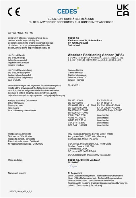 Rezultat imagine pentru Conformity