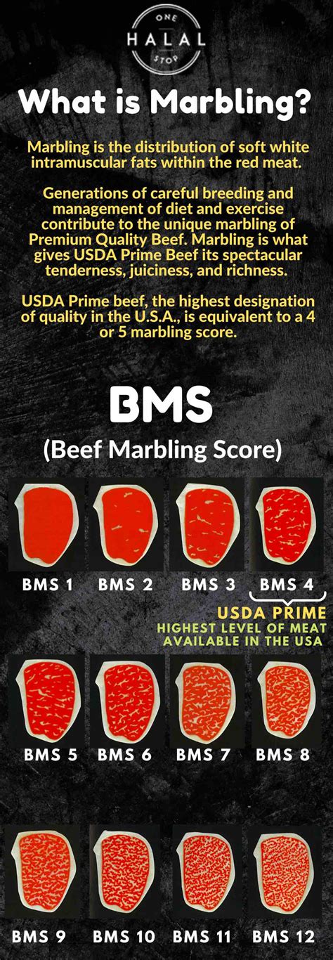USDA Prime Brisket – One Stop Halal