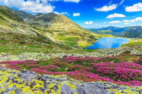 Carpathian Mountains