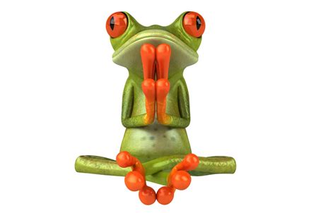 Wallpaper pose, graphics, frog, yoga, free frog for mobile and desktop ...