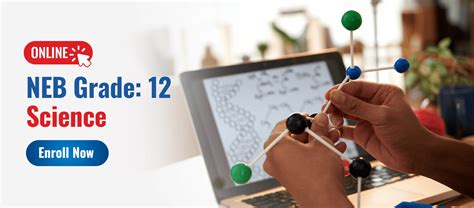 Image result for Vector Class 12 Neb Course