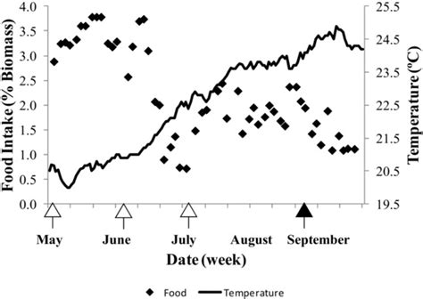 Spawning Induction of First-Generation (F1) Greater Amberjack Seriola ...