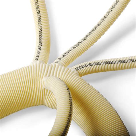 Intergard Woven Aortic Arch and Hemabridge