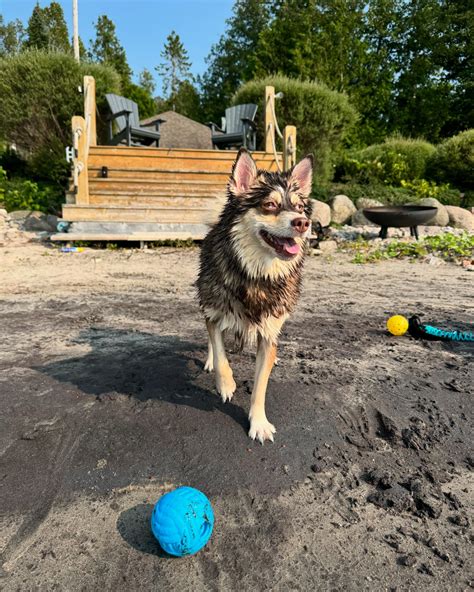 ANNABELLE HAYES 🇬🇭🇵🇭 | Summer dreams 🌞🍉🕶️👙 | Instagram