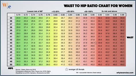 Waist-to-hip ratio: Reliable research shows if you need to lose weight