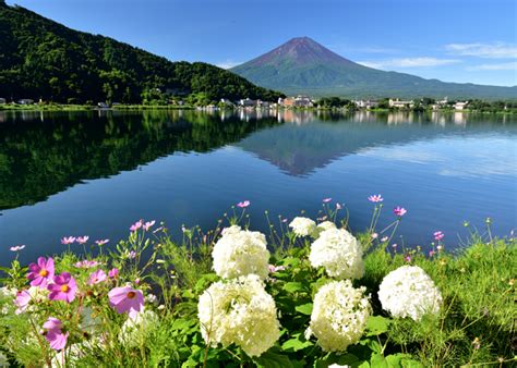 富士山 的图像结果