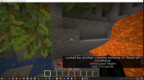 Image result for Minecraft Little Script