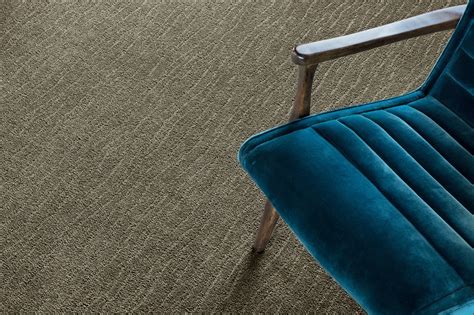 Carpet Gallery - Flooring Inspiration | Reinhold Flooring in Saint ...