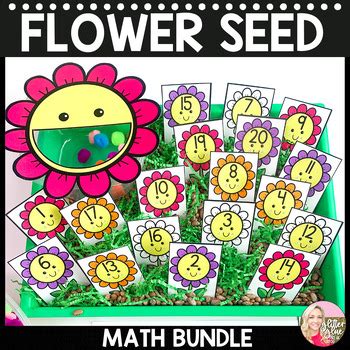 Image result for Big Seed ST Math