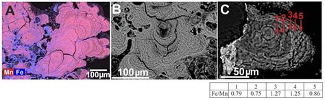 Mineral Phase-Element Associations Based on Sequential Leaching of ...