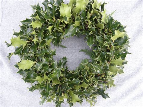 Fresh Holly Wreaths - Wreath Supplies