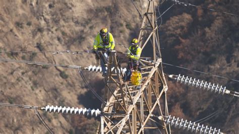 Local 47 Logo 的图像结果