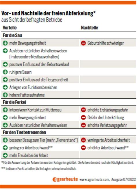 Bewegungsbucht statt Ferkelschutzkorb: Studie zeigt Vor- und Nachteile ...