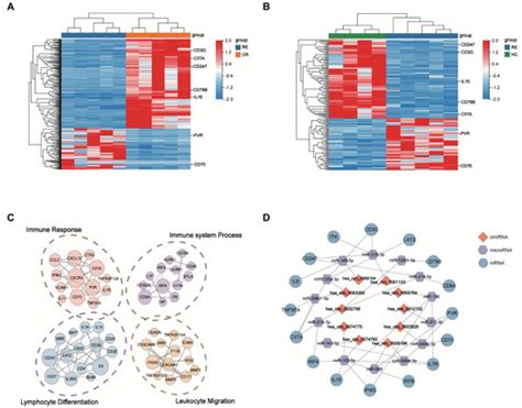 Deregulated Expression of Circular RNAs Is Associated with Immune ...