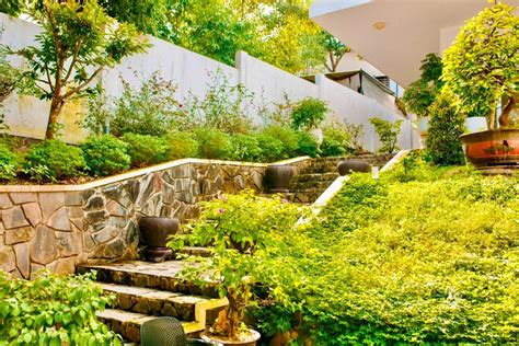 Sam Villa Tutorial Lob 的图像结果