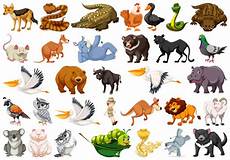 free animal clipart set of animals vector free free animal clipart set of animals vector free