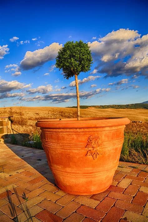 CORDELLA IN MONTALCINO WINE RESORT - Guesthouse Reviews & Photos ...