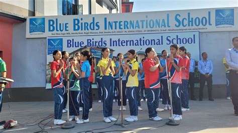 Blue Birds International School